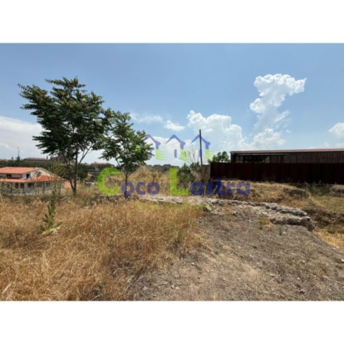 Terreno